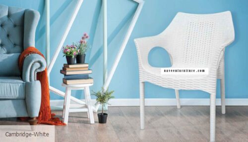 buy supreme chair cambridge white in dehradun